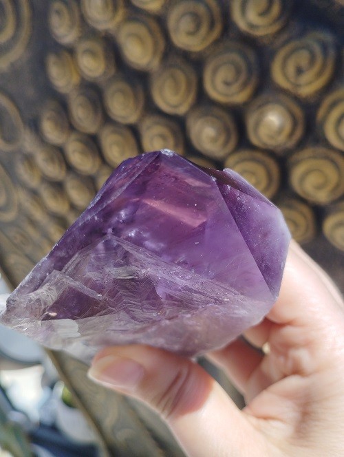 CETRO DE AMATISTA MAESTRO FANTASMA