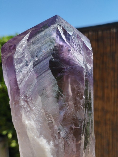 CETRO DE AMATISTA MAESTRO FANTASMA