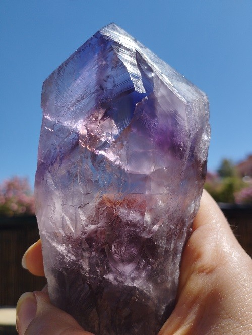 CETRO DE AMATISTA MAESTRO FANTASMA