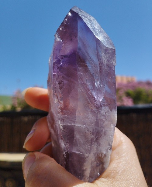 CETRO DE AMATISTA MAESTRO FANTASMA