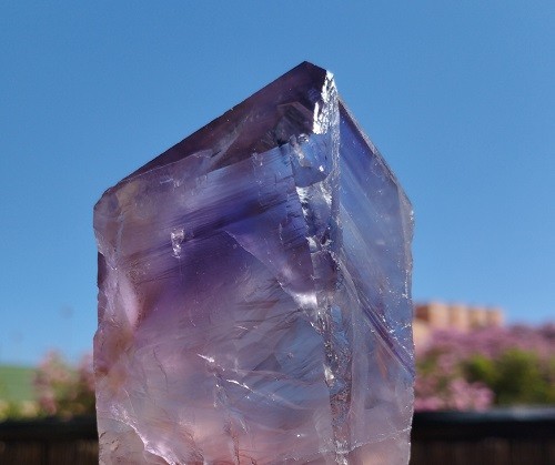 CETRO DE AMATISTA MAESTRO FANTASMA