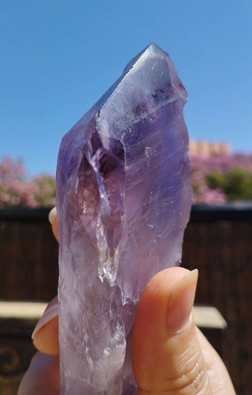 CETRO DE AMATISTA MAESTRO FANTASMA