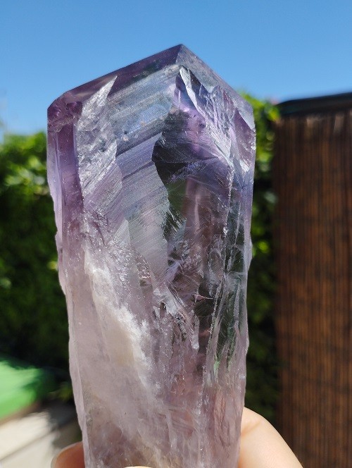 CETRO DE AMATISTA MAESTRO FANTASMA