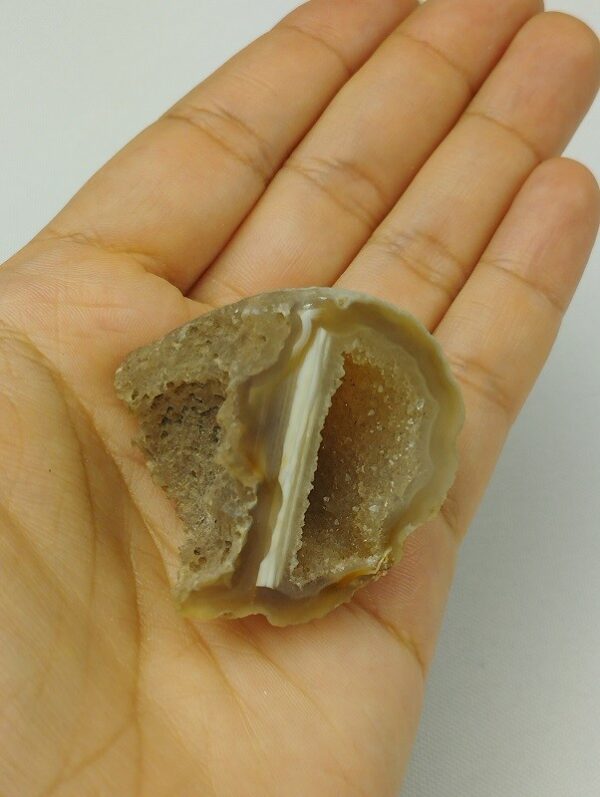 GEODINO AGATA MOD.5