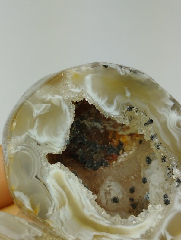 GEODINO COMPLETO PULIDO DE AGATA MOD.7