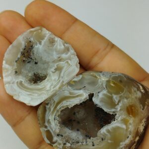 GEODINO COMPLETO PULIDO DE AGATA MOD.7